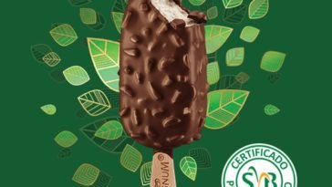 Novidade: conheça o Magnum Vegano