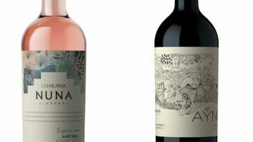 Novidade: Evino rosé Vivid