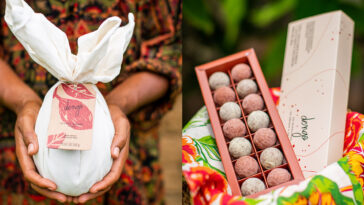 Crédito: divulgação