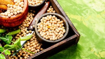 Receita: aprenda sugestões que não levam carne