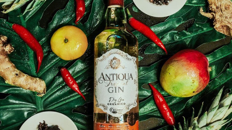 Crédito: divulgação