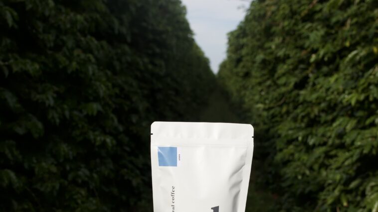 Crédito: divulgação