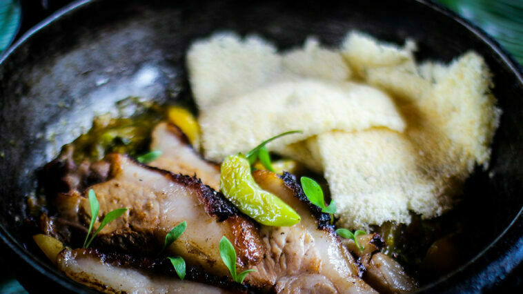 Crédito: divulgação