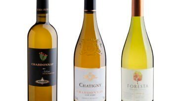 Evino lança vinhos para o Dia do Chardonnay
