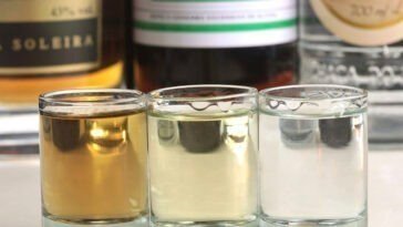 Academia da Cachaça realiza degustação de bebida