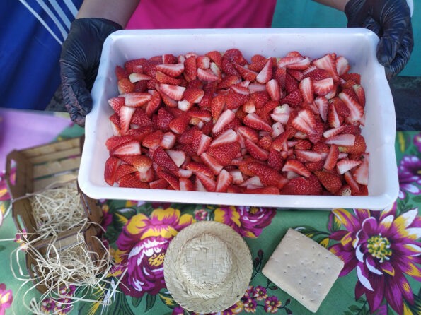 Crédito: divulgação