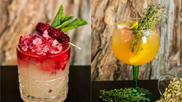 noPorto Espaço Lounge lança nova carta de drinks