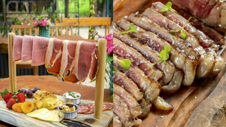 Crédito: divulgação