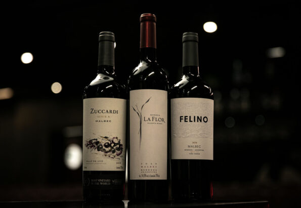 Crédito: divulgação