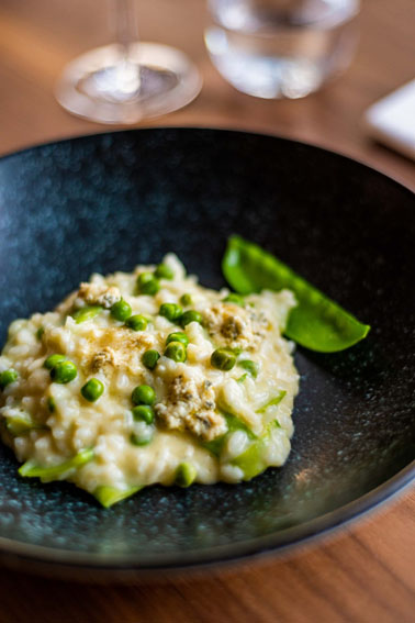 Crédito: divulgação