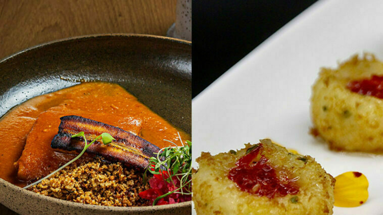 Crédito: divulgação