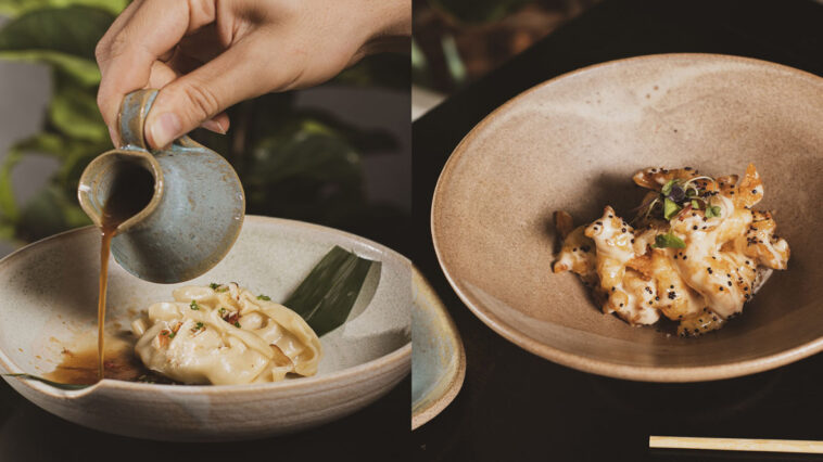 Crédito: divulgação