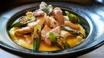 Crédito: divulgação