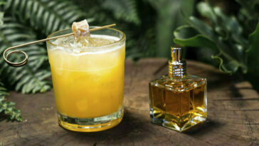 Crédito: divulgação