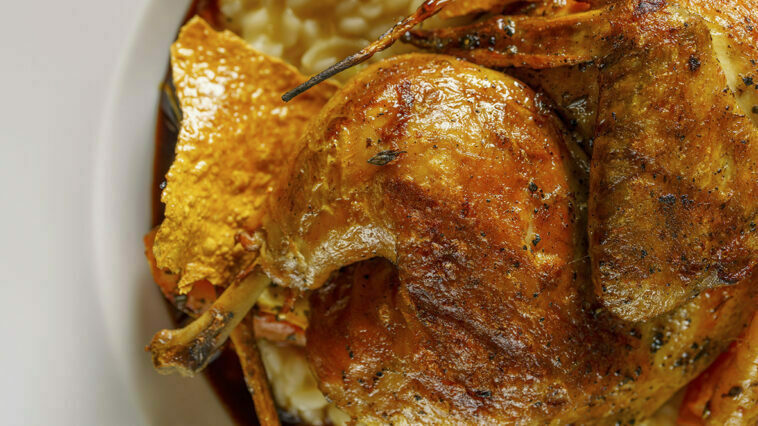 Crédito: divulgação