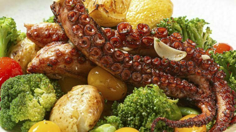 Crédito: Vitor Faria