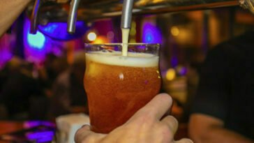 Bariloche sedia Festival de Cerveja Artesanal