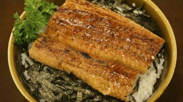 Crédito: divulgação