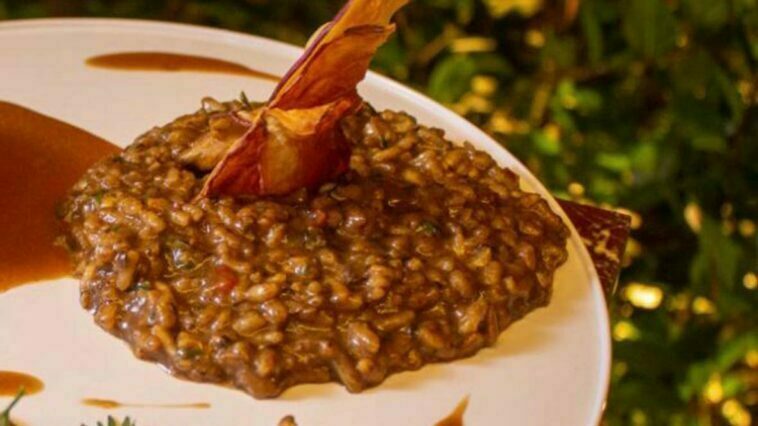 Crédito: divulgação