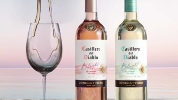 Casillero del Diablo lança o primeiro vinho de baixa caloria