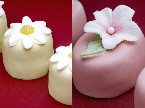 Crédito: divulgação