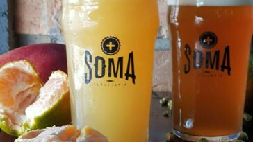 Catharina Sour com manga e tangerina na Soma Cervejaria