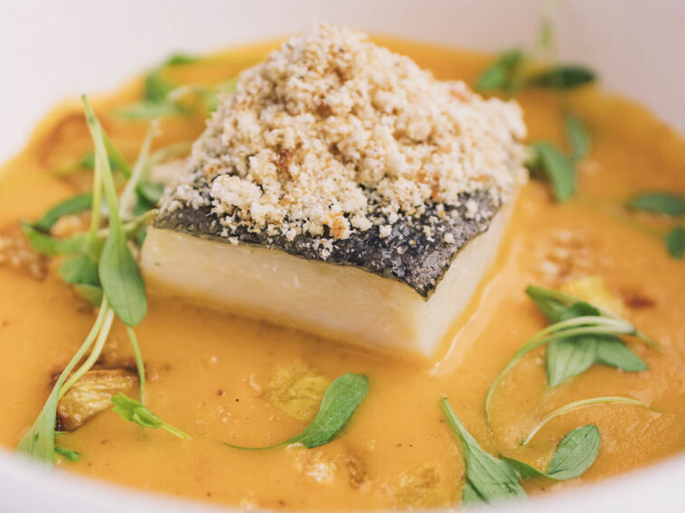 Crédito: divulgação