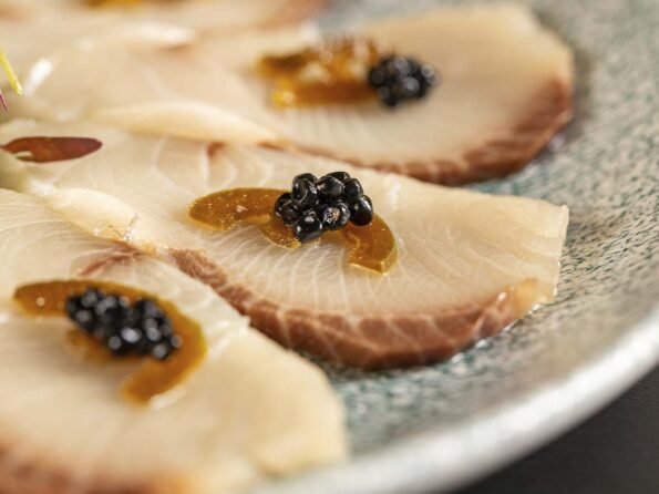 Crédito: divulgação