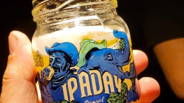 Saiba mais sobre a 10ª edição do IPA Day Brasil