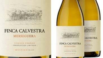 Foto: divulgação - Divvino