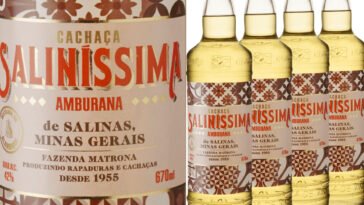Foto: divulgação - Saliníssima
