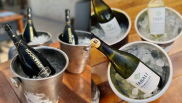 Foto: divulgação - Seu Domingo Beach Club