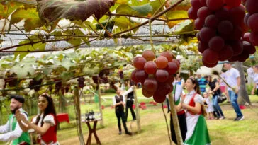 Foto: divulgação - Vila Don Patto