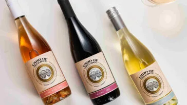 Foto: divulgação - Evino