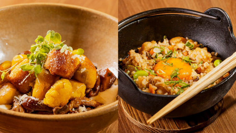 Crédito: divulgação