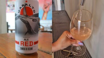 Maralto lança rótulo sazonal, vinhos e espumante on tap