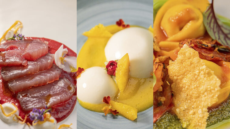 Crédito: divulgação