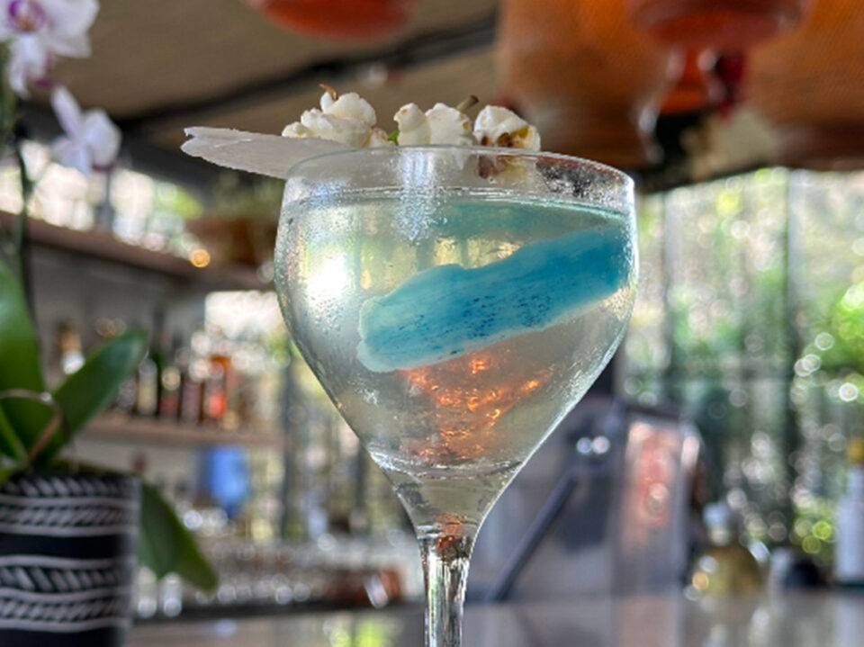 Crédito: divulgação