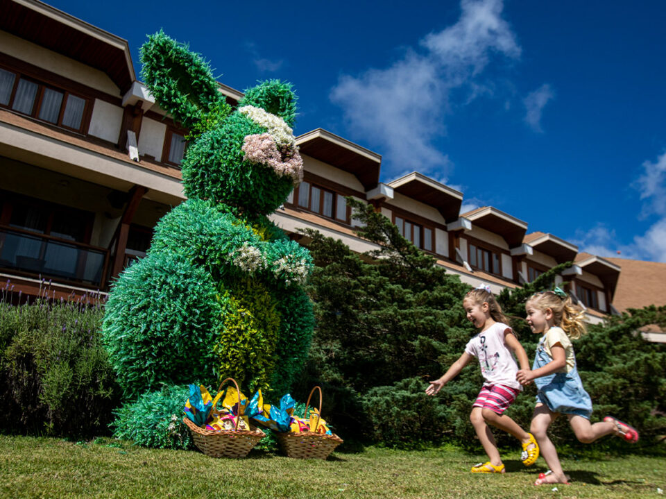 Crédito: divulgação