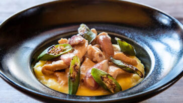 Foto: Romulo Fialdini