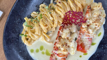 Crédito: divulgação