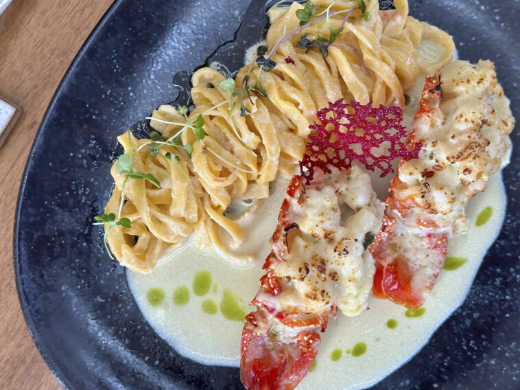 Crédito: divulgação