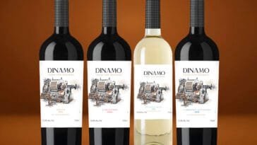Grupo Wine lança Dínamo Wines com vinhos chilenos a menos de R$ 30