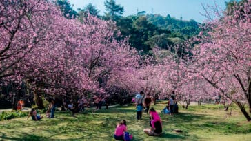 Foto: Cleverson Nunes