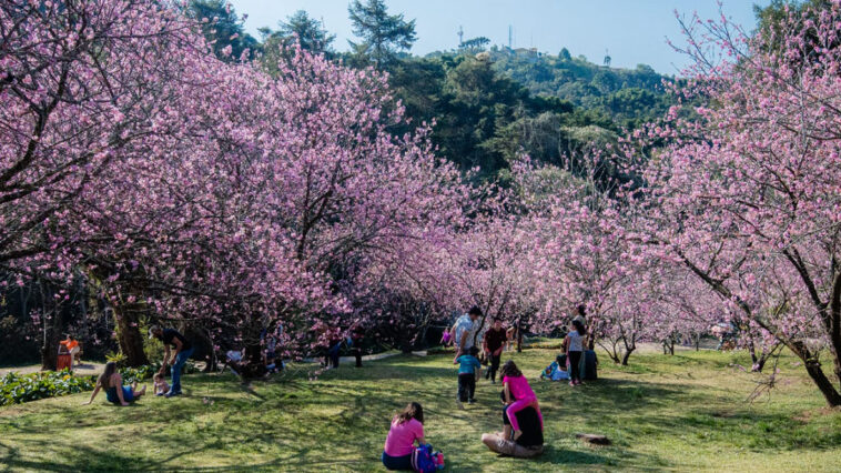 Foto: Cleverson Nunes