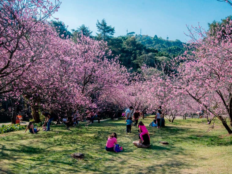 Foto: Cleverson Nunes