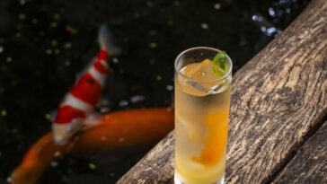 Foto: Mario Rodrigues Jr.