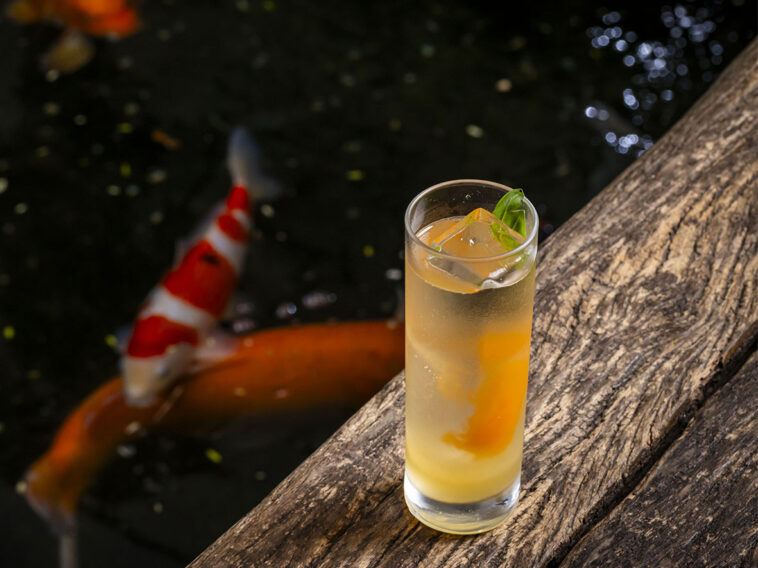 Foto: Mario Rodrigues Jr.