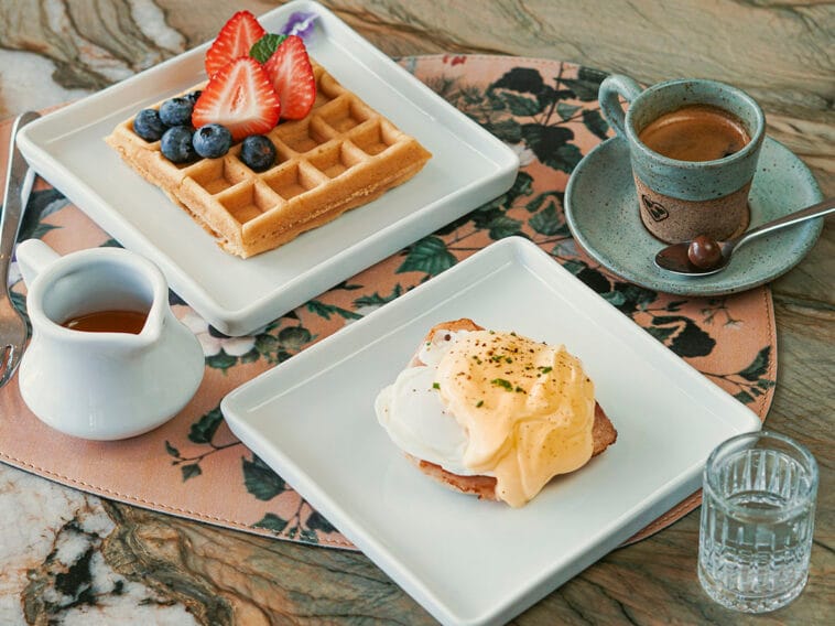 Crédito: divulgação