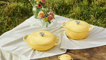 Crédito: divulgação